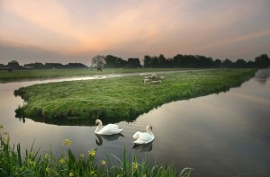 Frühling Friesland